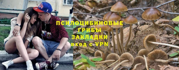 гидропоника Надым