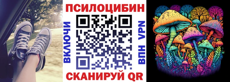 Галлюциногенные грибы Psilocybe  OMG как зайти  Усть-Кут 